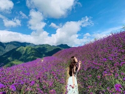 Ella Phung Stripchat Webcam Model Profile Free Live Sex Show
