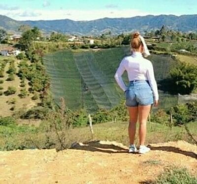 Shantall Sullivan Cam Model Free Live Sex Show Chat Stripchat