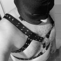 finbearfin webcam