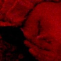 johnexotica Offline Chatrum