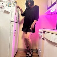 HelloKittyLapDog webcam