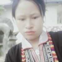 mingoc model avatar