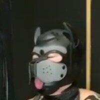 InuHao88 avatar