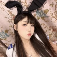 Huan-008 webcam model