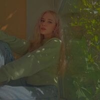 SheilaWhite 离线聊天室