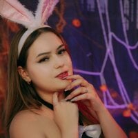 skysaenz webcam model