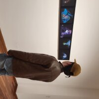 Bilik Sembang Luar Talian argentino20cm