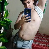 Модель causak