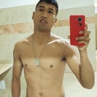 Brrrompelon webcam