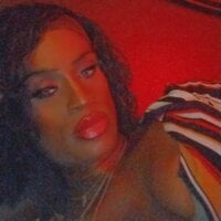 BashaDPT webcam