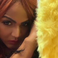 The-Beyonce