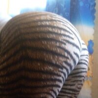 sweetclit's Offline Chat Room