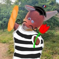 Angel_Flo 아바타 사진