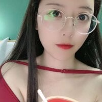 SS-19 webcam model