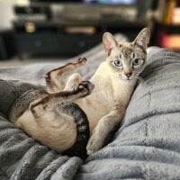 __edwardkow__ Avatarfoto