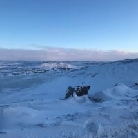 Charliecamille 아바타 사진