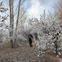 cdr6456 webcam model