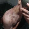 JoeButtlerh77's Offline XXX Chat