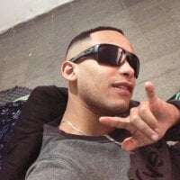 gato_bh webcam
