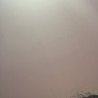 ppnany webcam