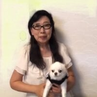 SHOOKO অফলাইন চ্যাট রুম