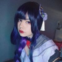 ElseDest webcam model