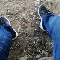 crissescobar6690's Offline Chat Room