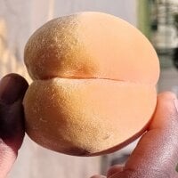 Chatroom hors ligne de BhutGSport