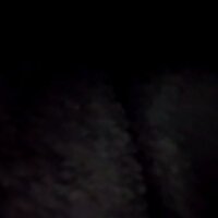 Marvin_vivine