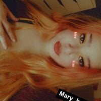 Sala de chat offline de Mary_bear
