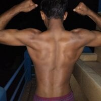Bengali_BULL1