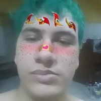 pedronovinho123