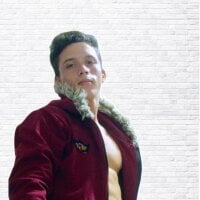 forestcanm22 webcam model