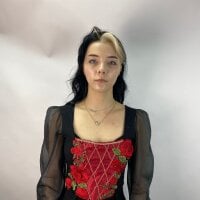 AviEvans 오프라인 채팅방