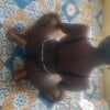 vee_sexy8