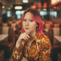 HanVertz webcam model