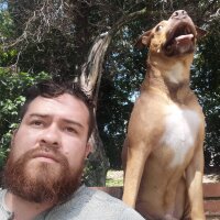 Loolukas's Profile Photo