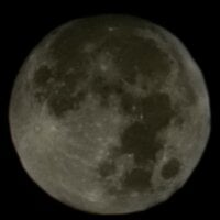 STRIPSSA Poză avatar