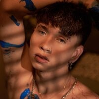 Brian-Ausslos webcam