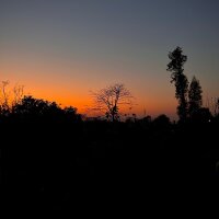 harddick_7271