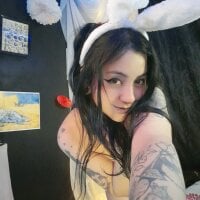 AbsentaVert webcam model