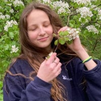 AlinaVeressan Offline chat-huone