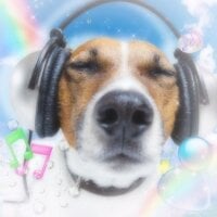 pokochoko_ webcam