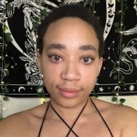 rayvensforest offline chatrum