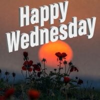 Ah_14 아바타 사진