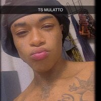 TSMULATTO1 webcam