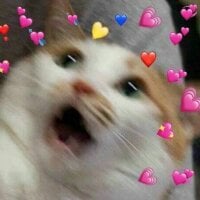 Hot-Barbie's Offline Chat Room