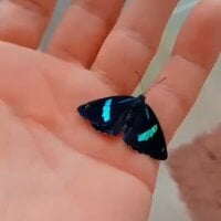 Mkagentesecreto007 webcam