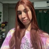 Silvermistick webcam
