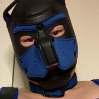 makoto-gmpd webcam